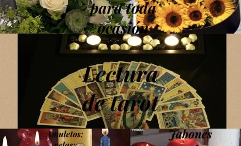Botanica & Flowers business photo