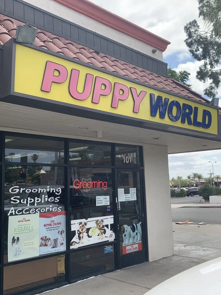 Puppy World business photo